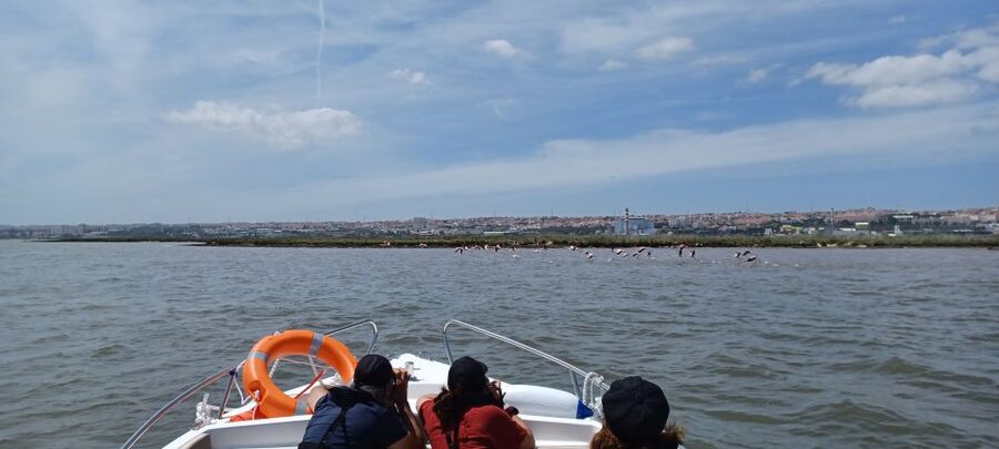 Lisbon: Tagus Estuary Nature Reserve Birdwatching Boat Tour - Parque das Nações from the river