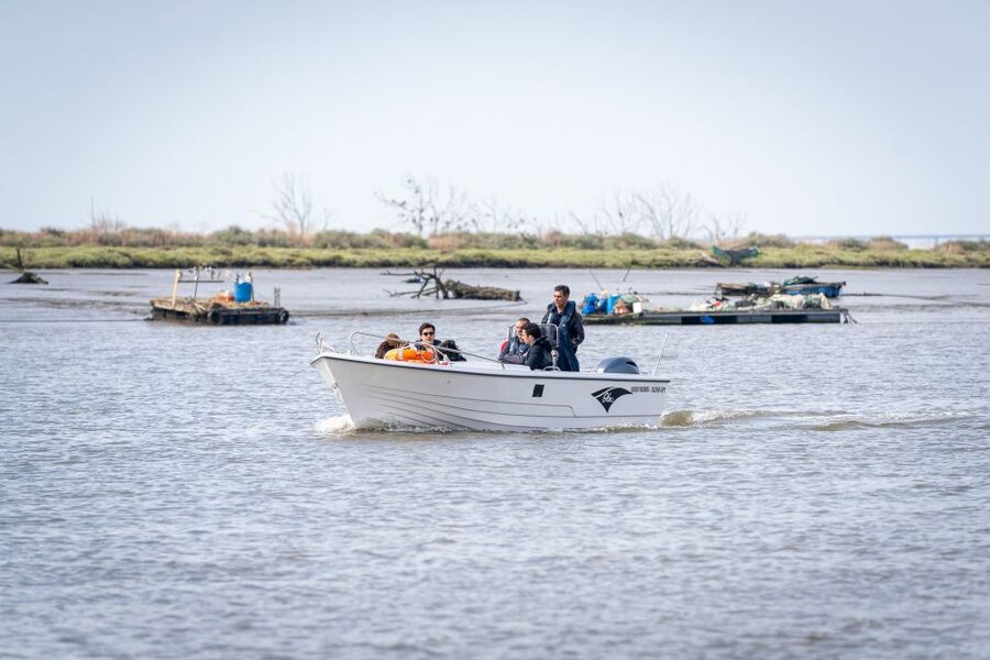 Lisbon: Tagus Estuary Nature Reserve Birdwatching Boat Tour - Passing Bairro dos Pescadores