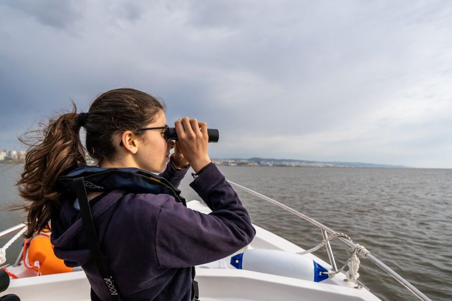 Lisbon: Tagus Estuary Nature Reserve Birdwatching Boat Tour - Birds you might see