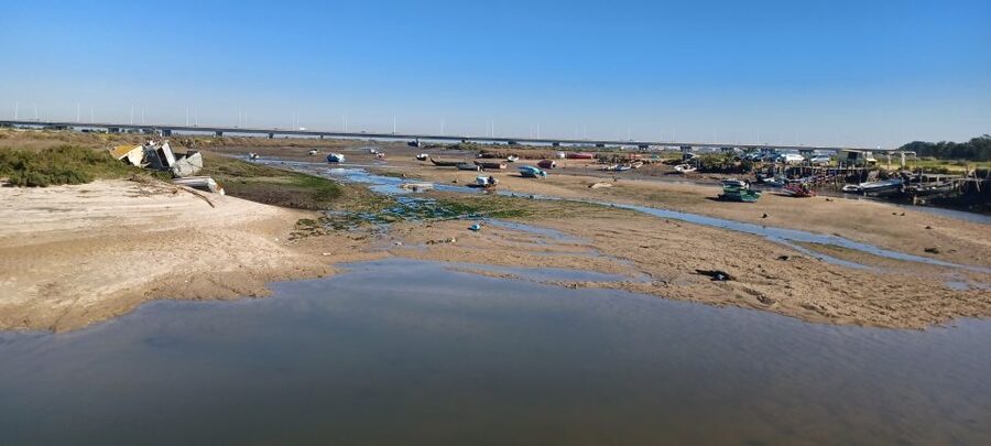Lisbon: Tagus Estuary Nature Reserve Birdwatching Boat Tour - Mouchao da Povoa and the outer channels