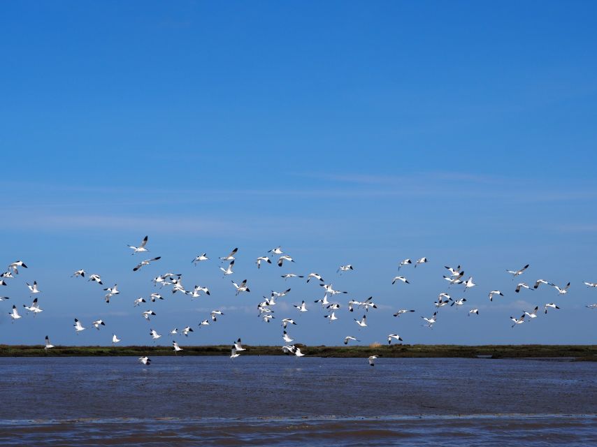 Lisbon: Tagus Estuary Nature Reserve Birdwatching Boat Tour - Returning under the Vasco da Gama Bridge