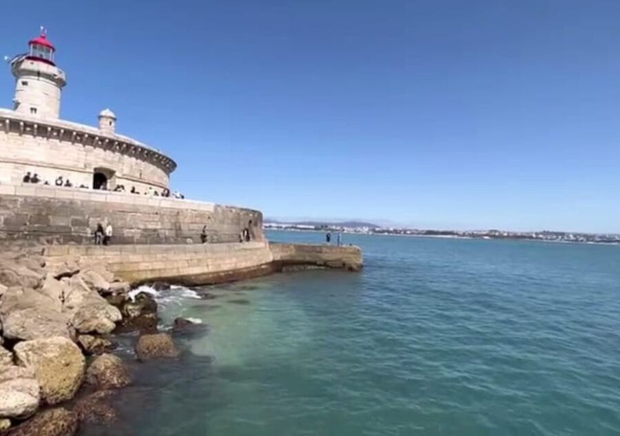 Lisbon: Tagus River Cruise to the Ocean & Dolphin Watching - Who should book this Lisbon cruise?