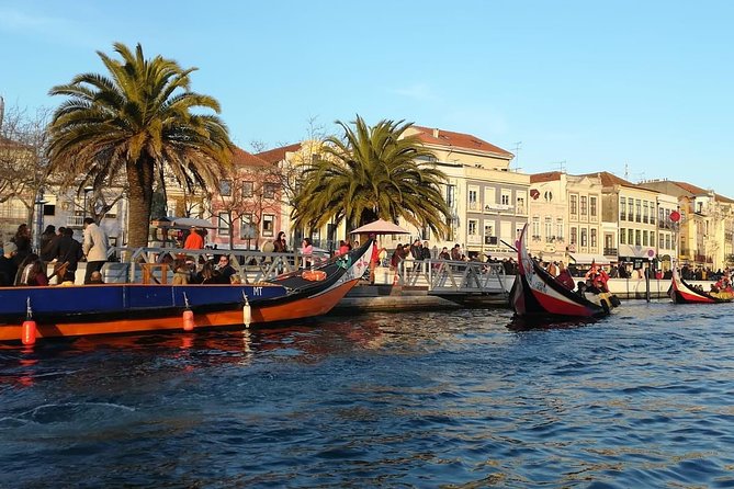 Lisbon to Porto Up to 4 Stops: Obidos, Nazare, Fatima and Aveiro - Aveiro and its colorful moliceiro boats