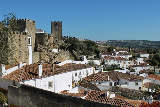 Óbidos historic village and Mafra Palace Private Tour - The library and basilica are the highlights