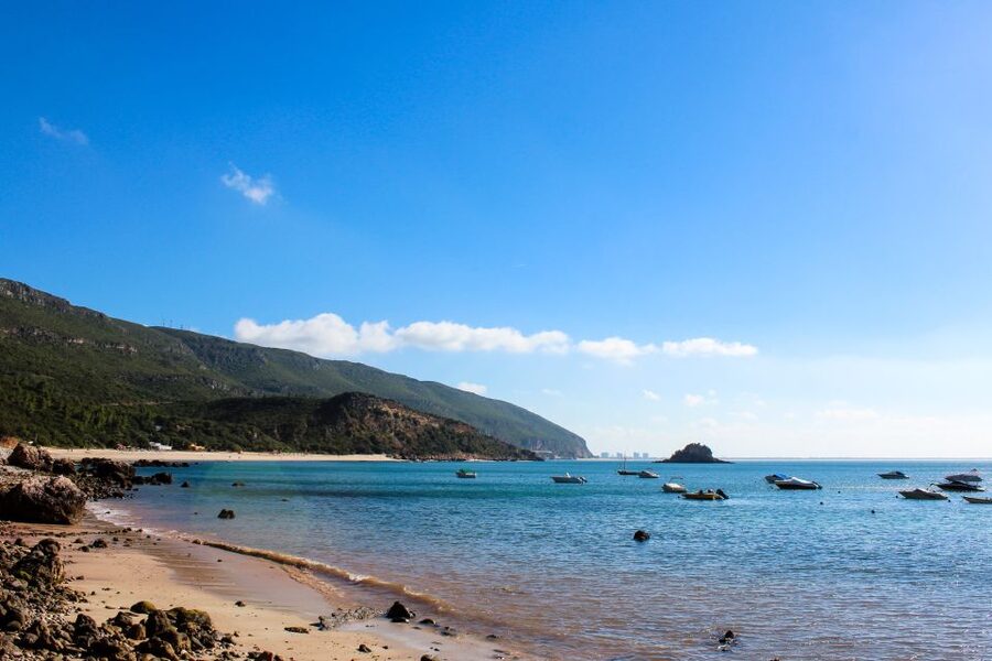 Portuguese Wine History & Amazing Landscape - Key points to know before you book
