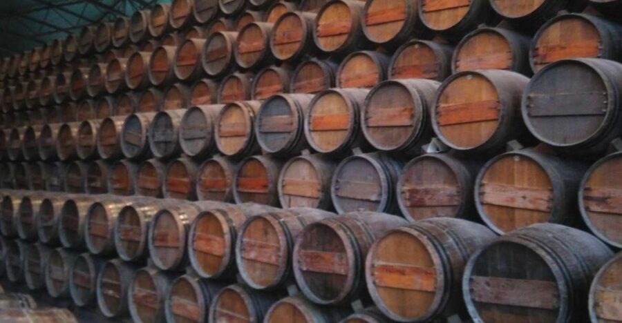Portuguese Wine History & Amazing Landscape - Crossing Vasco da Gama Bridge to Palmela Castle