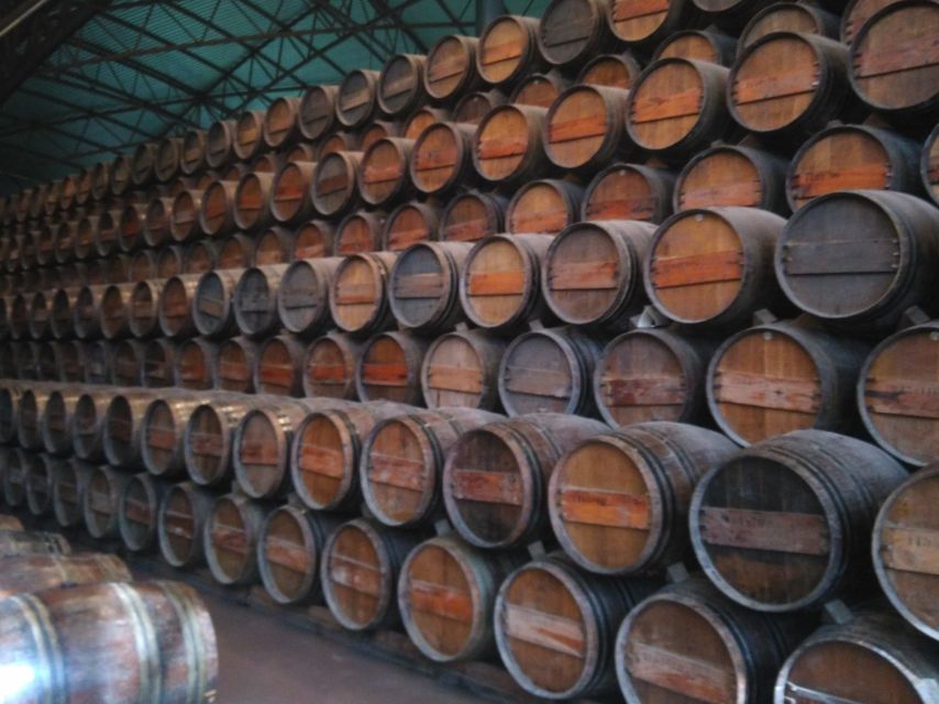 Portuguese Wine History & Amazing Landscape - Who will enjoy this day most