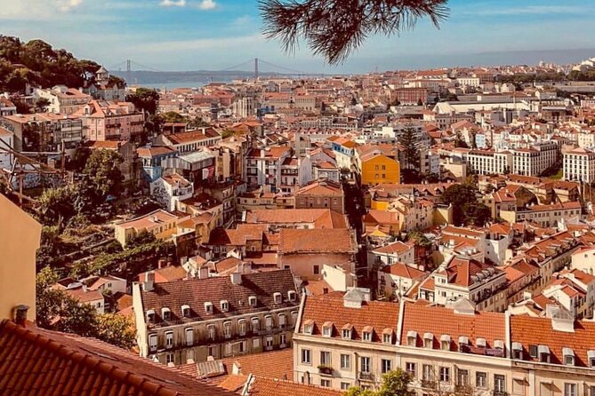 Private Food and Wine Tour: From Street to Gourmet - Fado, fire, and the route downhill