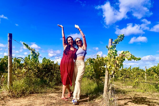 Private Lisbon-Arrábida Wine Tour: 3 Wineries, Coast & Heritage - Why this Setúbal wine tour feels different