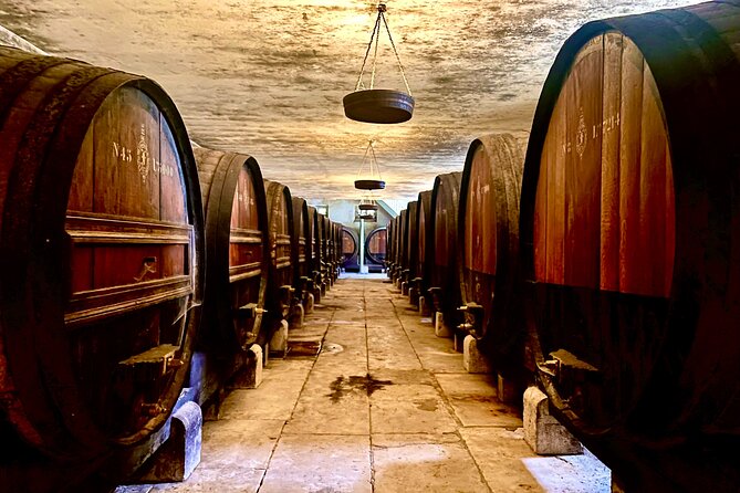 Private Lisbon-Arrábida Wine Tour: 3 Wineries, Coast & Heritage - Arrábida’s mountain roads and bright coastal views