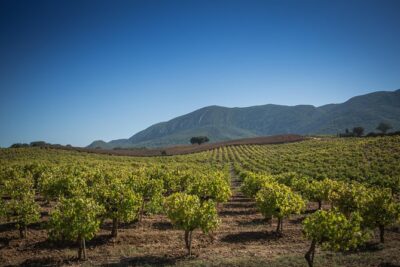 Private Lisbon Arrabida Wine Tour: Food & Wines, Mountain and Sea
