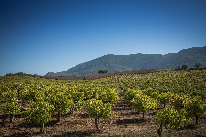 Private Lisbon Arrabida Wine Tour: Food & Wines, Mountain and Sea - Arrábida Natural Park: the day’s best photo stop