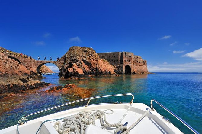 Private Tour: Berlenga Grande Island Day Trip from Lisbon - What the $239.65 price means
