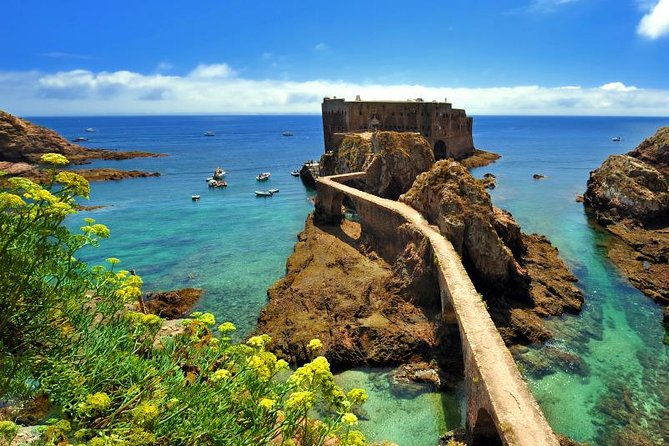 Private Tour: Berlenga Grande Island Day Trip from Lisbon - Landing at the Berlengas Nature Reserve