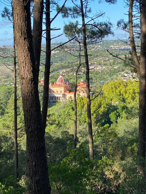 Private Tuk Tuk Tour around Sintra - Moorish Castle from the mountain road