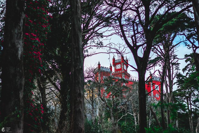 Romantic Sintra Escape – Self-Drive Electric Car Experience - Quinta da Regaleira and its mysterious gardens