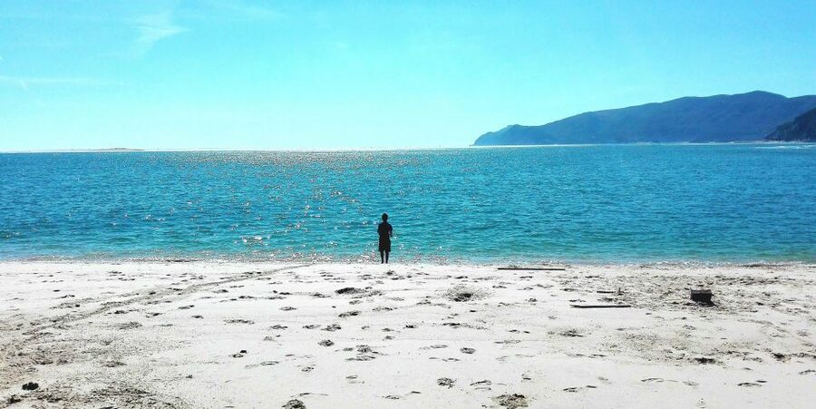 Sesimbra e Arrábida Natural Park: 1 Day Tour & Wine Tasting - Sesimbra, a working bay with a medieval fortress