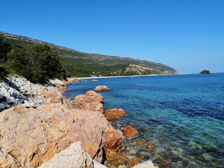 Sesimbra e Arrábida Natural Park: 1 Day Tour & Wine Tasting - A seaside lunch, with the bill left to you