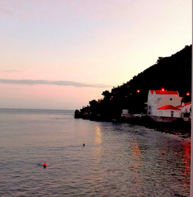 Sesimbra e Arrábida Natural Park: 1 Day Tour & Wine Tasting - Two wineries and a castle tasting