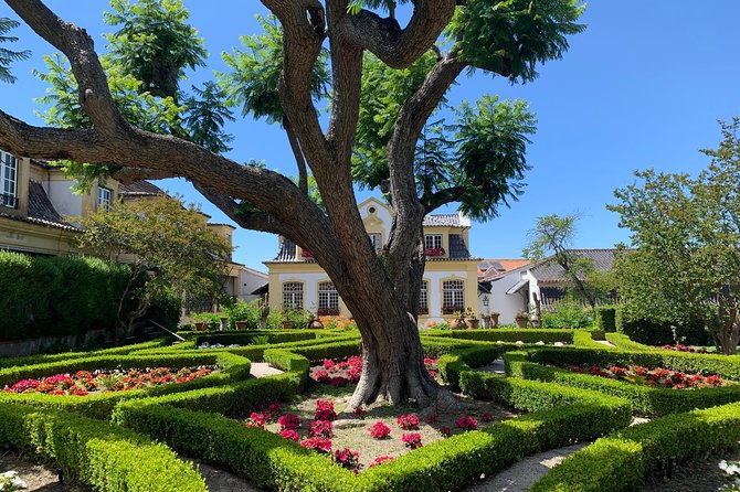 Setúbal Wine Tour with Visit and Tasting at 2 Wineries - Why Setúbal makes a smart wine trip from Lisbon