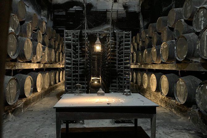 Setúbal Wine Tour with Visit and Tasting at 2 Wineries - Bacalhôa, a modern winery with art on the side
