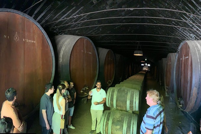 Setúbal Wine Tour with Visit and Tasting at 2 Wineries - Adega de Palmela and Farm Catralvos as alternatives
