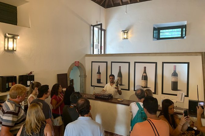 Setúbal Wine Tour with Visit and Tasting at 2 Wineries - What the tasting is really like