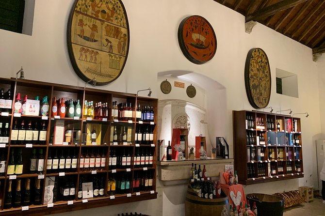 Setúbal Wine Tour with Visit and Tasting at 2 Wineries - Who should book this Setúbal wine tour