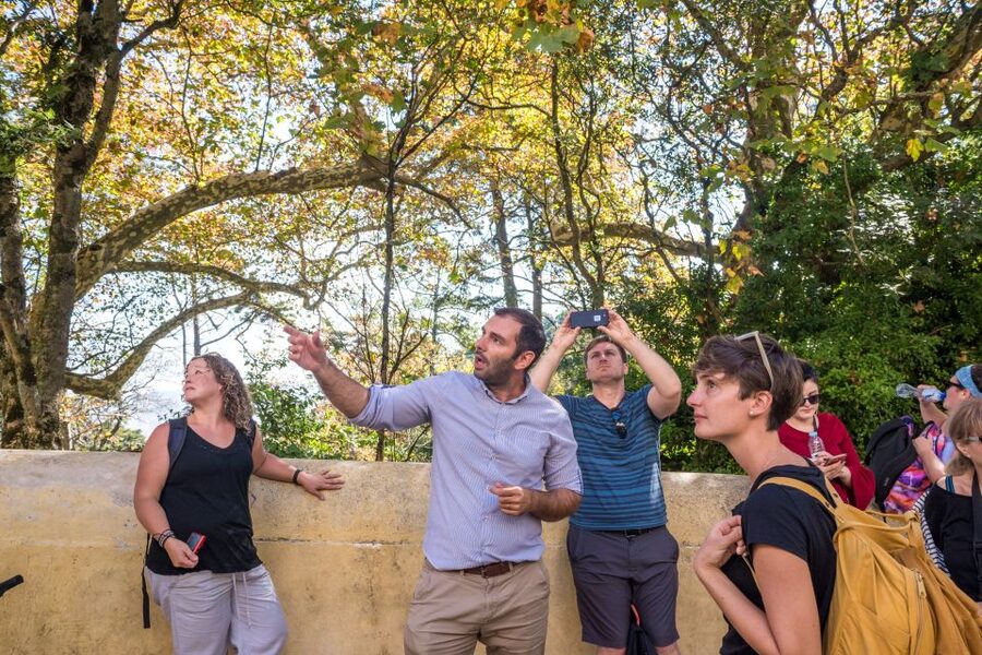Sintra and Cascais Small Group Tour from Lisbon - Who should book this tour