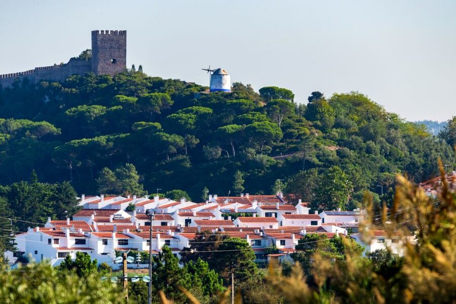 Sintra: Castle of the Moors E-Ticket and Audio Guide - Who should book this experience?