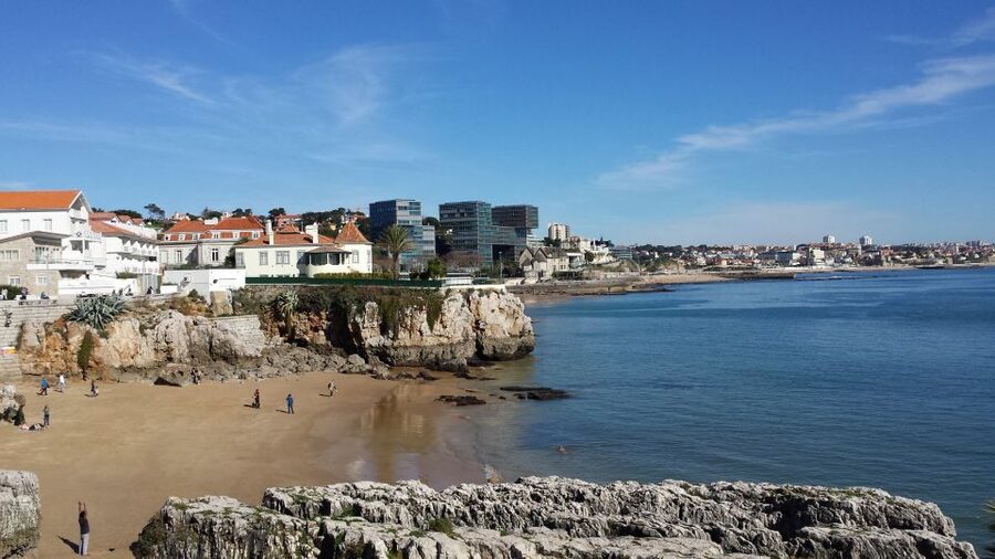 Sintra: Full-Day Tour from Lisbon with Wine Tasting - Wine tasting in the Colares area