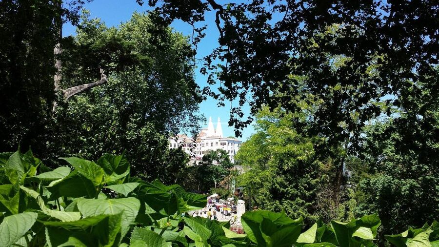 Sintra: Full-Day Tour from Lisbon with Wine Tasting - Moorish Castle views above the town