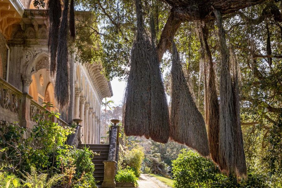 Sintra: Monserrate Palace & Park Ticket - Inside Monserrate’s Moorish, Gothic, and Indian design