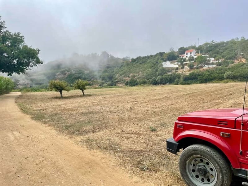Sintra: Private Full-Day Sintra, Roca, and Cascais 4x4 Tour - Off-road views around Sintra