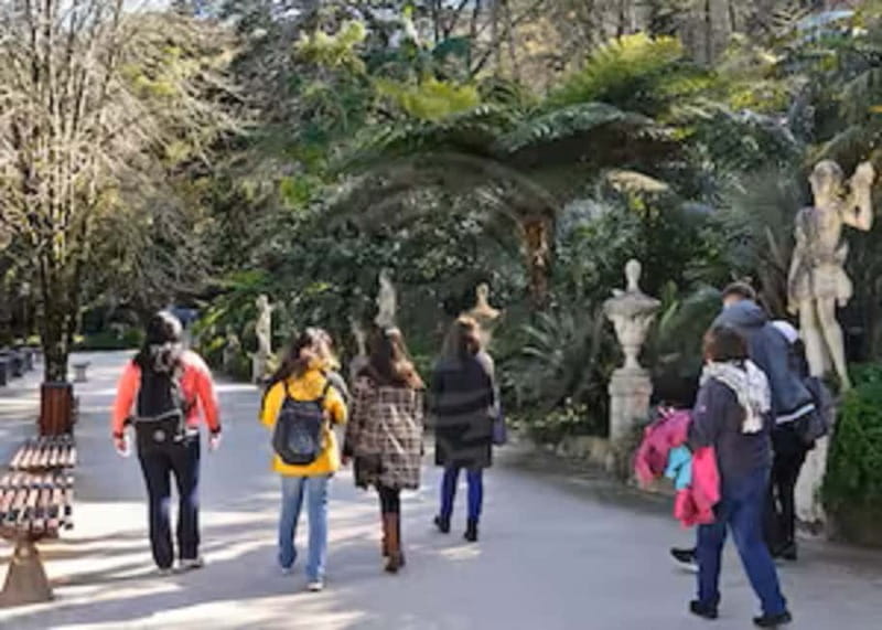 Sintra: Quinta da Regaleira Entry Ticket and Guided Tour - Descending into the Initiation Wells
