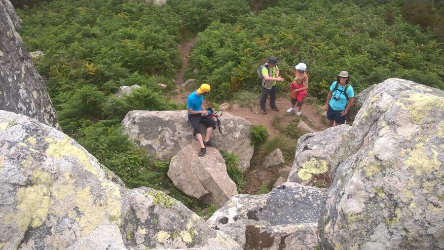 Sintra: Walking Tour with Palace, Castle, and Old Town Visit - How Much Walking Should You Expect?