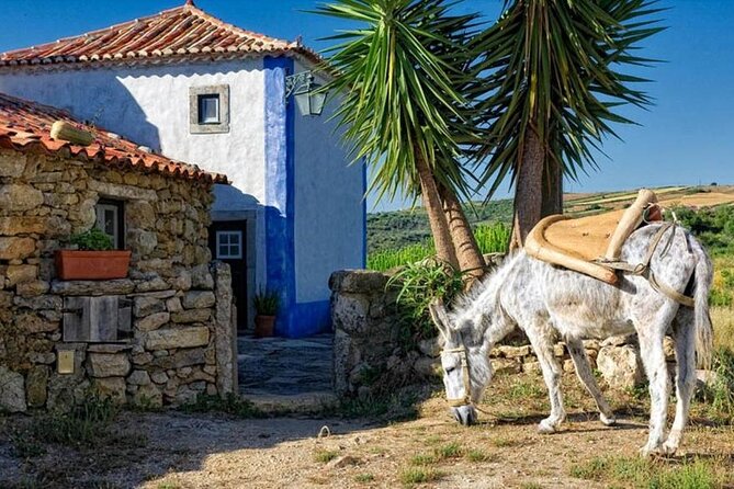 Visit to Queluz Palace and Mafra Convent - Private Tour - Forte do Zambujal and the value of a short historical stop