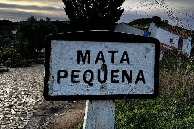 Visit to Queluz Palace and Mafra Convent - Private Tour - What to bring and who should choose it