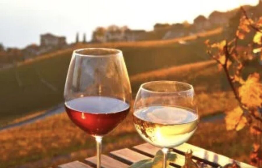 Wine Tasting - Private Half-Day Tour - From Lisbon to the Setúbal District
