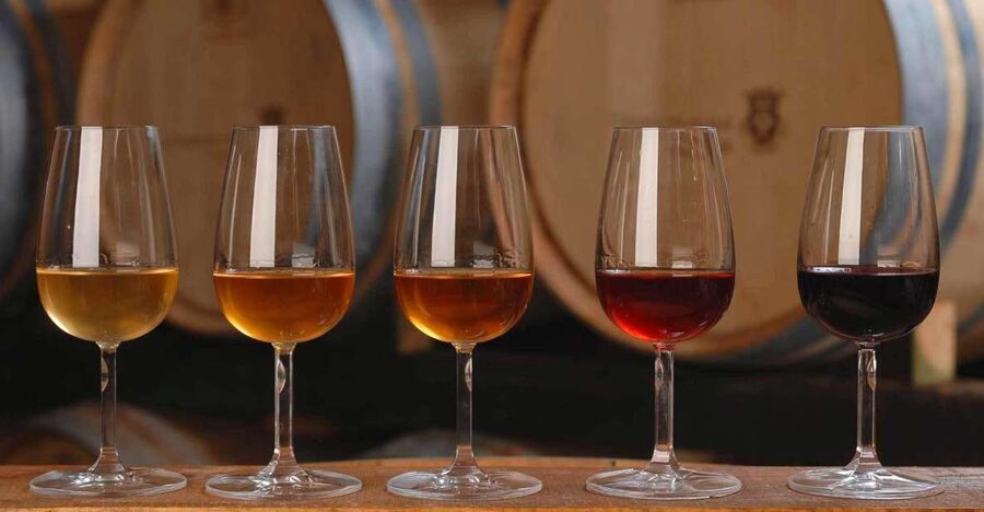 Wine Tasting - Private Half-Day Tour - What the $199 price means