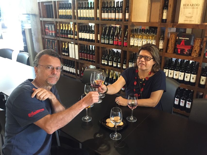 Wine Tasting - Private Half-Day Tour - Practical details before you book