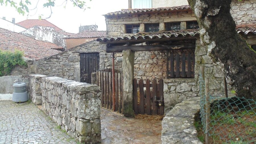 Wonders of Fátima Half Day Private Tour - Who should book this half-day visit?
